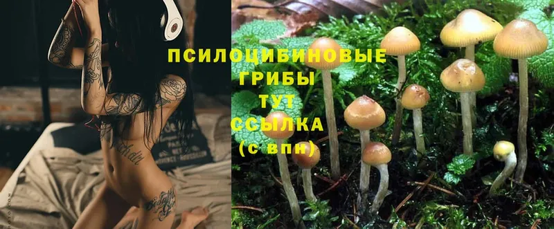 Галлюциногенные грибы Cubensis  Миньяр 